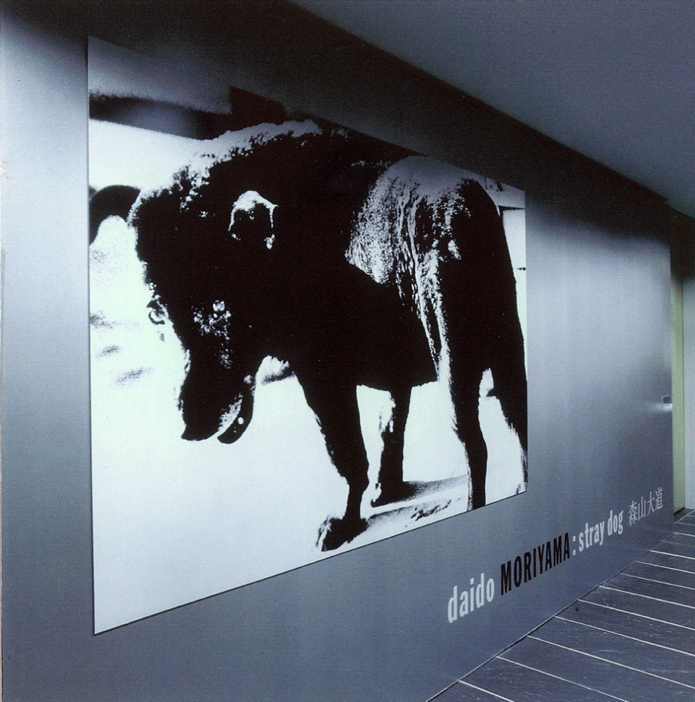 Installation view:&nbsp;Daido Moriyama: Stray Dog,&nbsp;Japan Society Gallery, New York, September 22, 1999&ndash;January 3, 2000